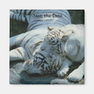 Íman Guardar os Manuais Brancos de Data