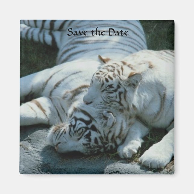 Íman Guardar os Manuais Brancos de Data (Frente)