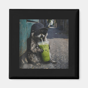 Íman Guaxinim bebendo latte de matcha meme engraçado de