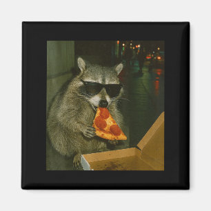 Íman Guaxinim engraçado comendo Zza meme de animal