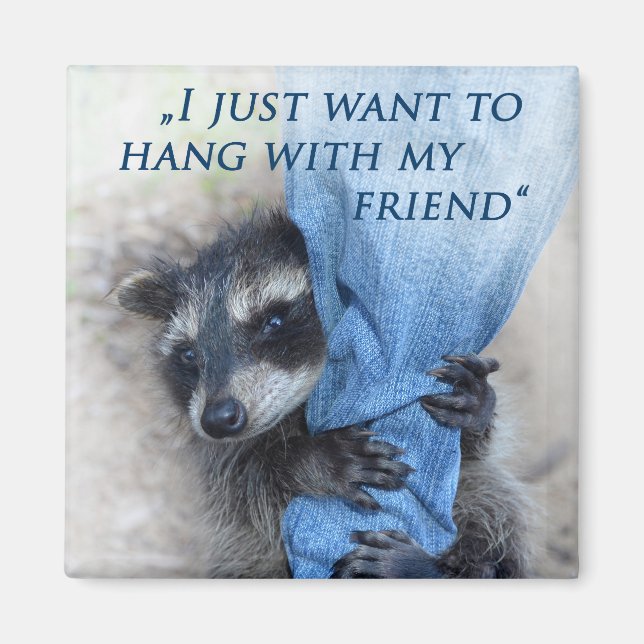 Íman Guaxinim - Relaxando (Frente)