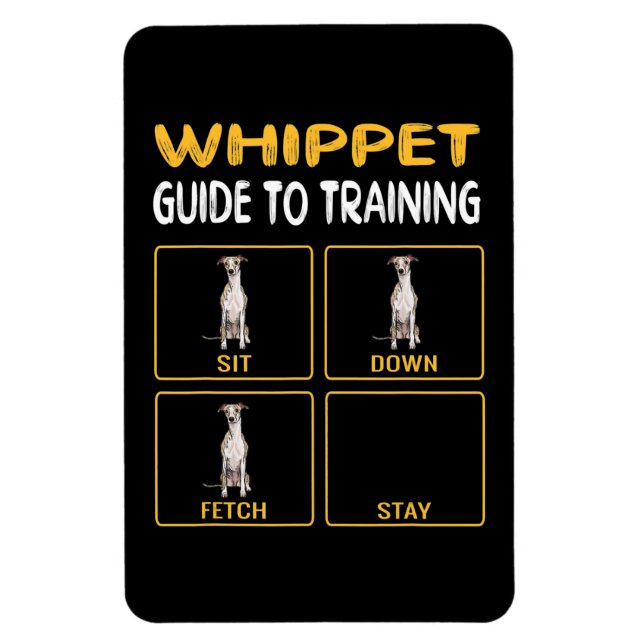 Íman guia de chicote para treinar obediência a cães (Vertical)