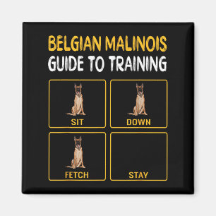 Íman Guia Divertido do Malinoi Belga para Treinar Cão
