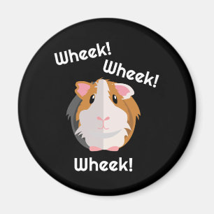 Íman Guiné Pig Love