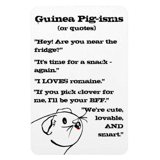 Íman Guiné Pig Sayings (Vertical)
