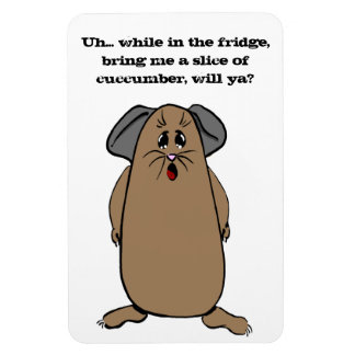Íman Guiné Pig Sayings