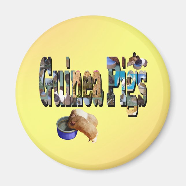 Íman Guiné Pigs É A Palavra, Magnet (Frente)