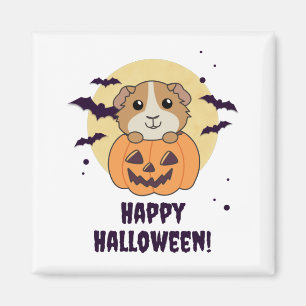 Íman Guiné Pumpkin Doce Animais Feliz Halloween M
