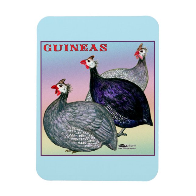 Íman Guineas Three Fowl (Vertical)