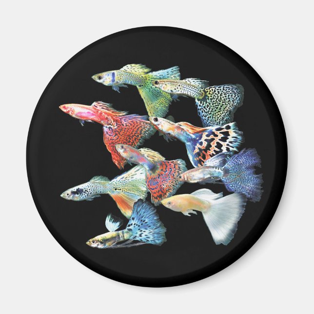 Íman Guppies (Frente)