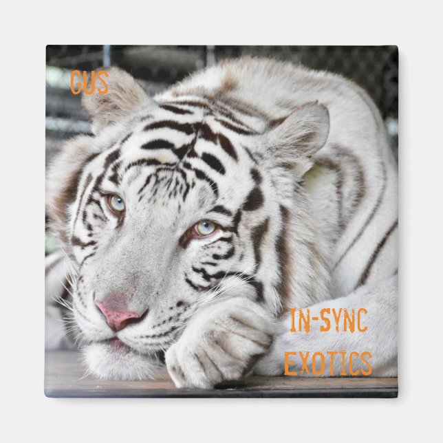 Íman Gus - (Frente)