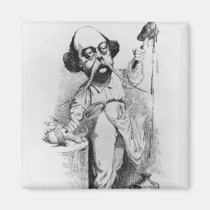 Íman Gustave Flaubert que disseca a senhora Bovary