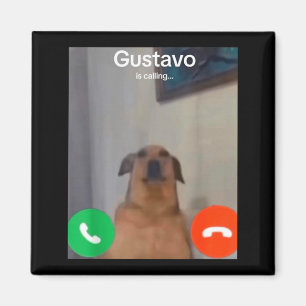Íman Gustavo O Cão Está Chamando Meme Engraçado Gen Z A