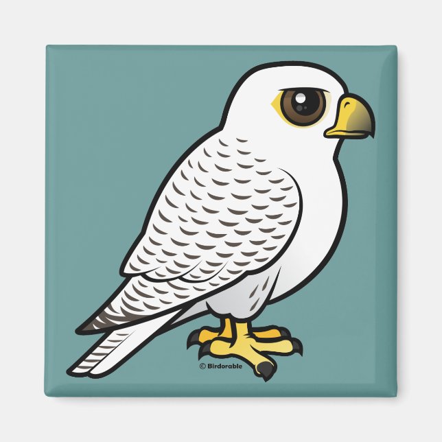 Íman Gyfalcon (Frente)