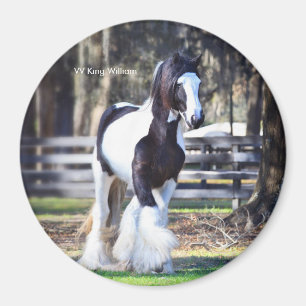 Íman Gypsy Dourado King William Magnet