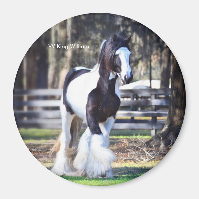 Íman Gypsy Dourado King William Magnet (Frente)