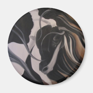 Íman Gypsy Vanner I