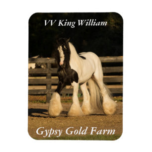 Íman Gypsy Vanner Magnet