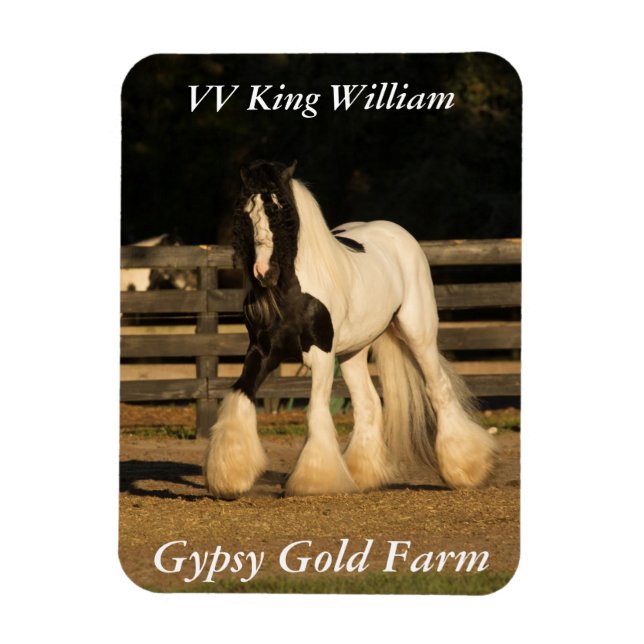 Íman Gypsy Vanner Magnet (Vertical)