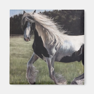 Íman Gypsy vanner pinto horse running in field