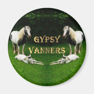 Íman Gypsy Vanners
