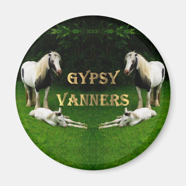Íman Gypsy Vanners (Frente)