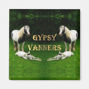 Íman Gypsy Vanners