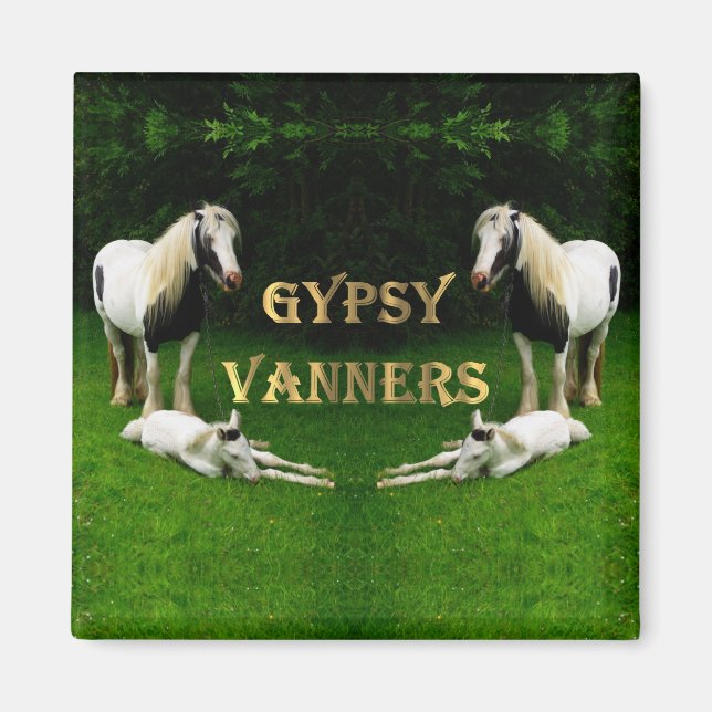 Íman Gypsy Vanners (Frente)