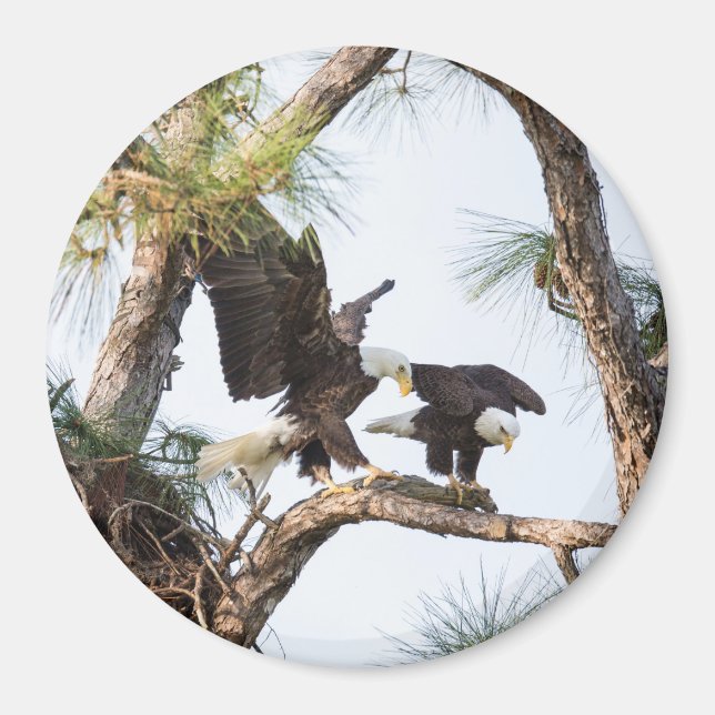 Íman H & M (Frente)