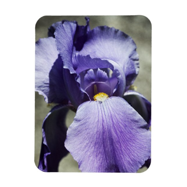 Íman Há um magnata de beleza Premium (Vertical)
