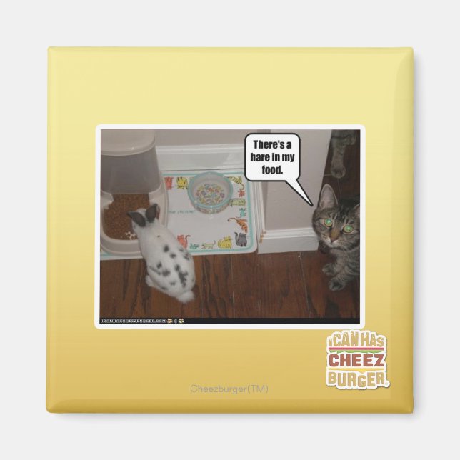 Íman Há uma lebre na minha comida. (Frente)