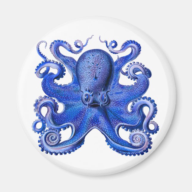 Íman Haeckel Octopus Blue (Frente)