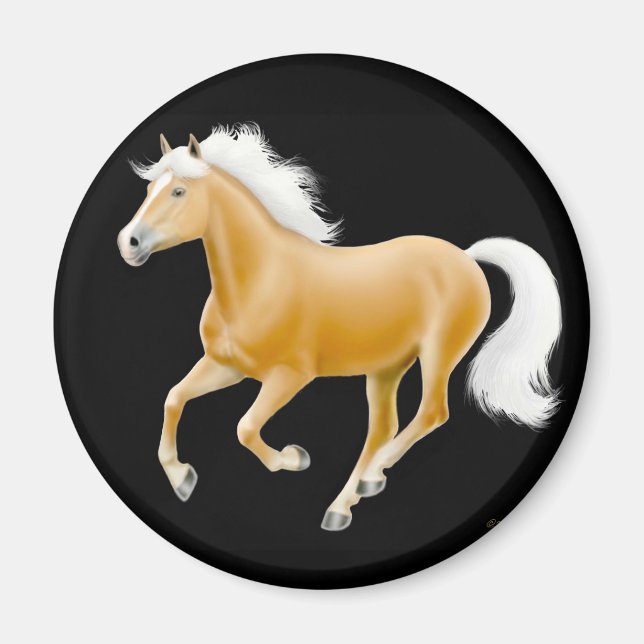 Íman Haflinger Palomino Horse Magnet Black (Frente)