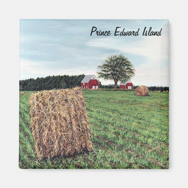 Íman Hale de Criação Balança Magneta Quadrada (Frente)