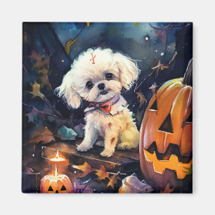 Íman Halloween Bichon Frise Com Pumpkins Assustado
