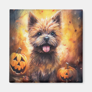 Íman Halloween Cairn Terrier Com Pumpkins Assustado