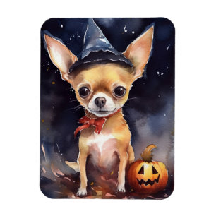 Íman Halloween chihuahua com Pumpkins assustado