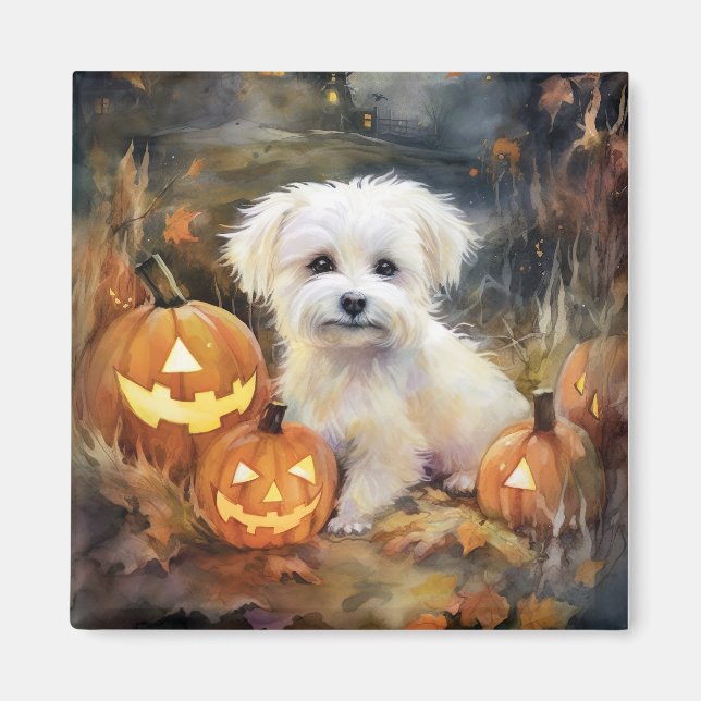 Íman Halloween Coton De Tulear Com Pumpkins Assustado (Frente)