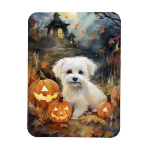Íman Halloween Coton De Tulear Com Pumpkins Assustado