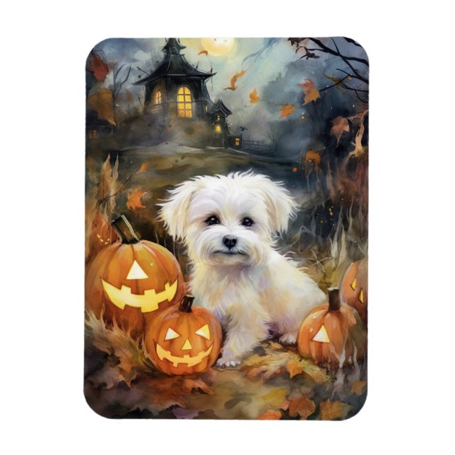 Íman Halloween Coton De Tulear Com Pumpkins Assustado (Vertical)