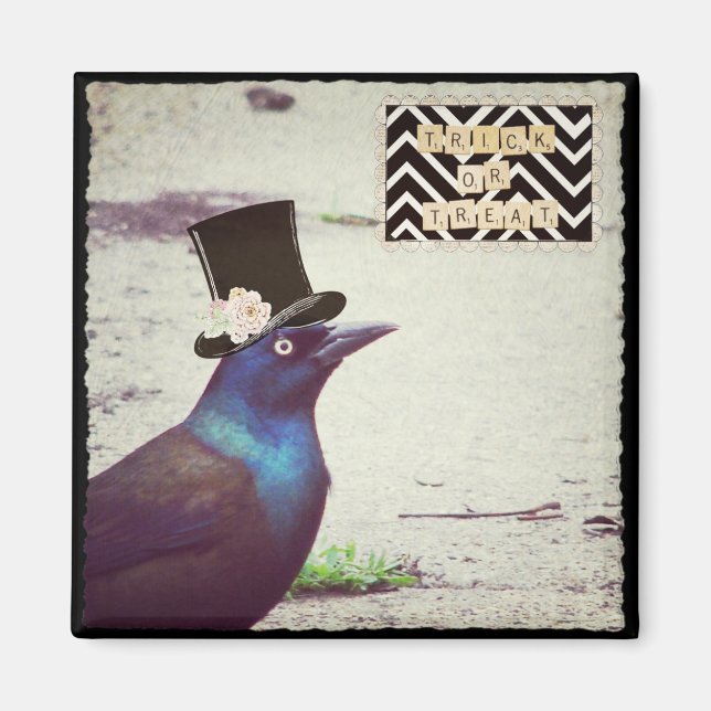 Íman Halloween Grackle (Frente)