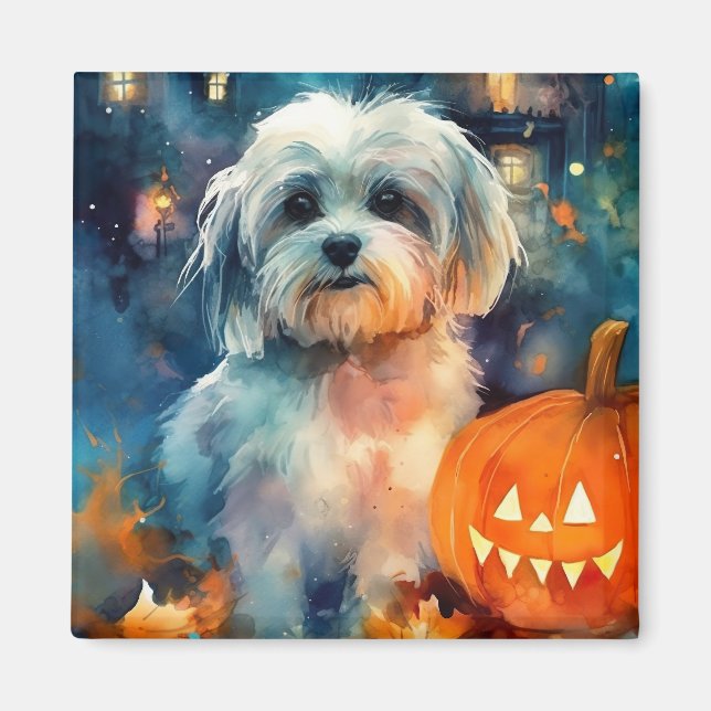 Íman Halloween Havanese Com Pumpkins Assustado (Frente)