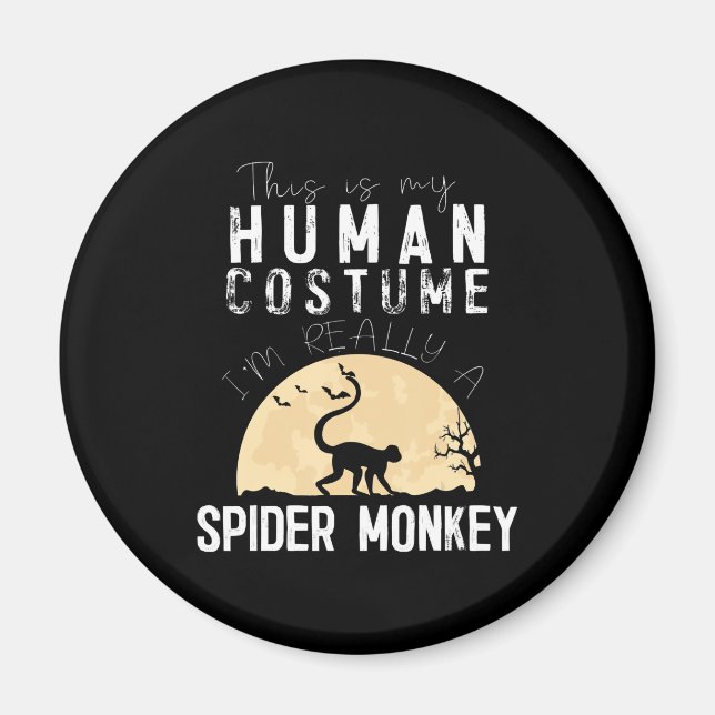 Íman Halloween, Homem-Aranha-Macaco, Horror Assustador (Frente)