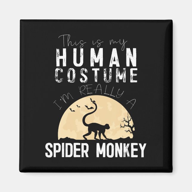Íman Halloween, Homem-Aranha-Macaco, Horror Assustador (Frente)