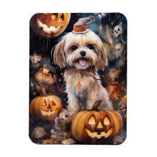 Íman Halloween Lhasa Apso Com Pumpkins Assustado