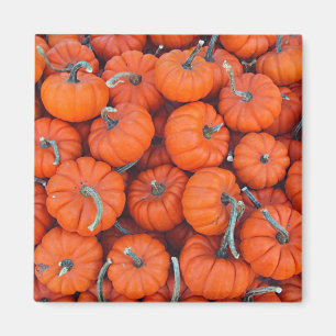 Íman Halloween Mini Pumpkin Fall Autumn Patterno