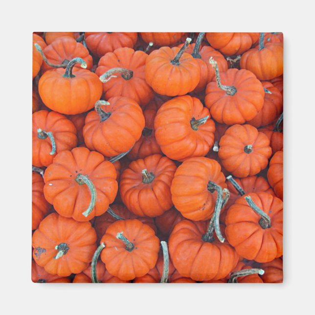 Íman Halloween Mini Pumpkin Fall Autumn Patterno (Frente)