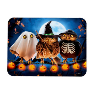 Íman Halloween Owls