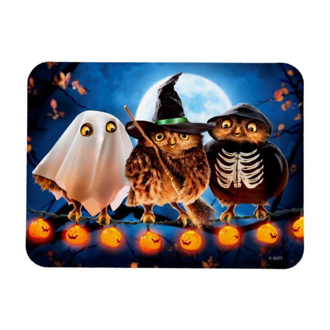Íman Halloween Owls (Horizontal)