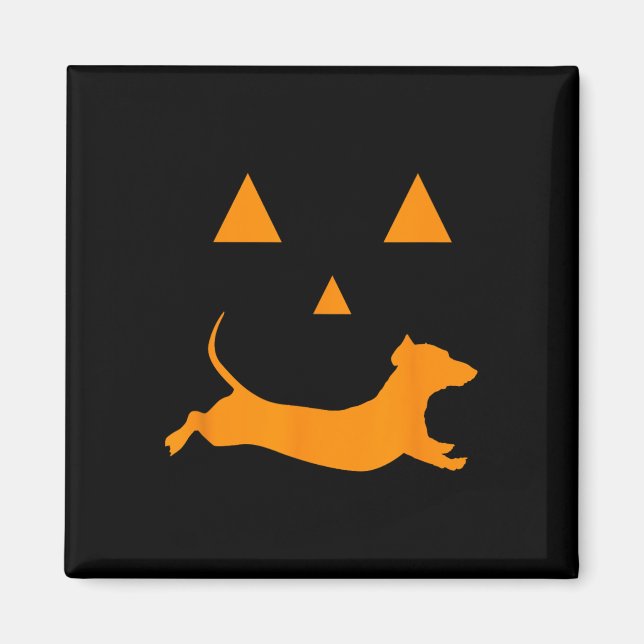 Íman Halloween Pumpkin Dachshund Jack-o-lantern Costume (Frente)